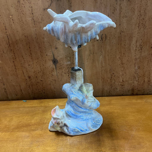 SEA SHELL SHELF DISPLAY