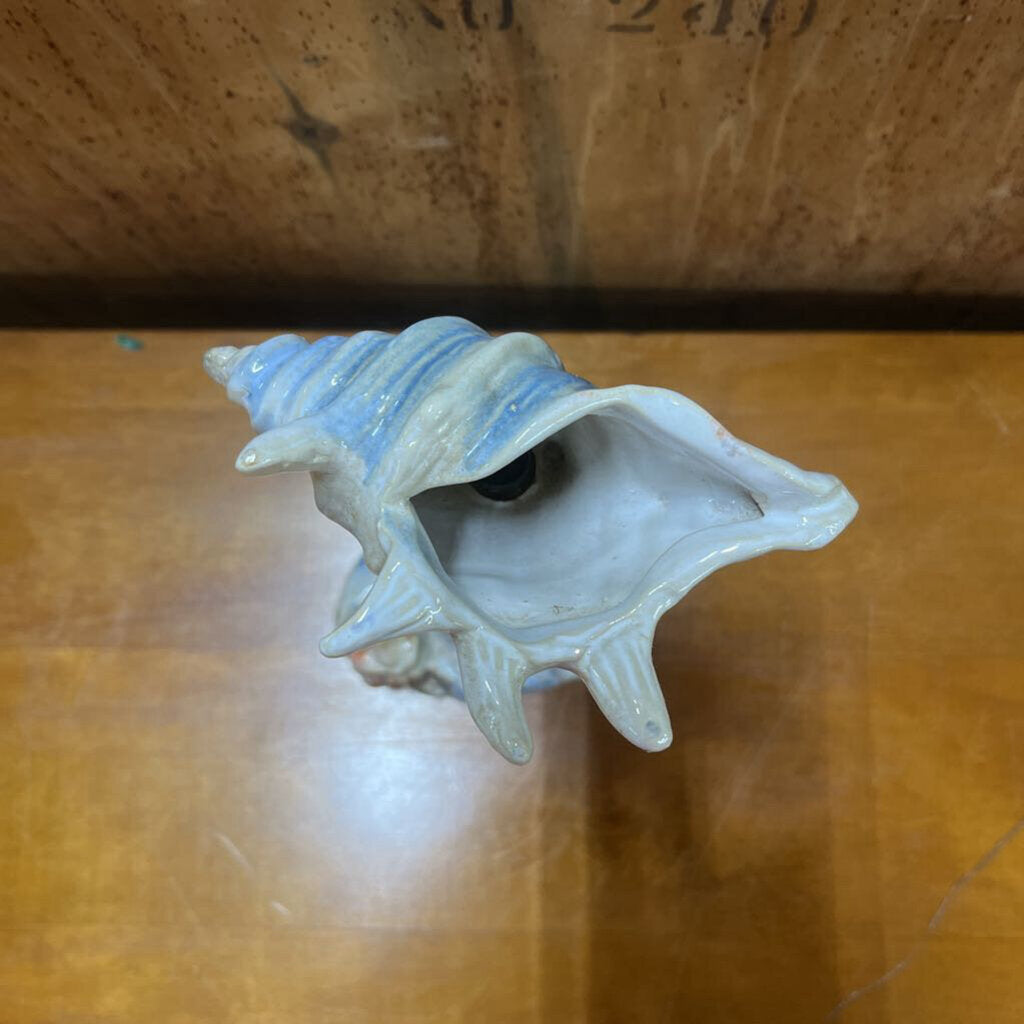 SEA SHELL SHELF DISPLAY