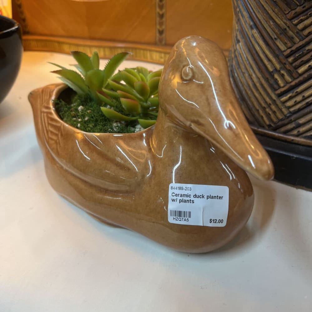 CERAMIC DUCK PLANTER W/ PLANTS