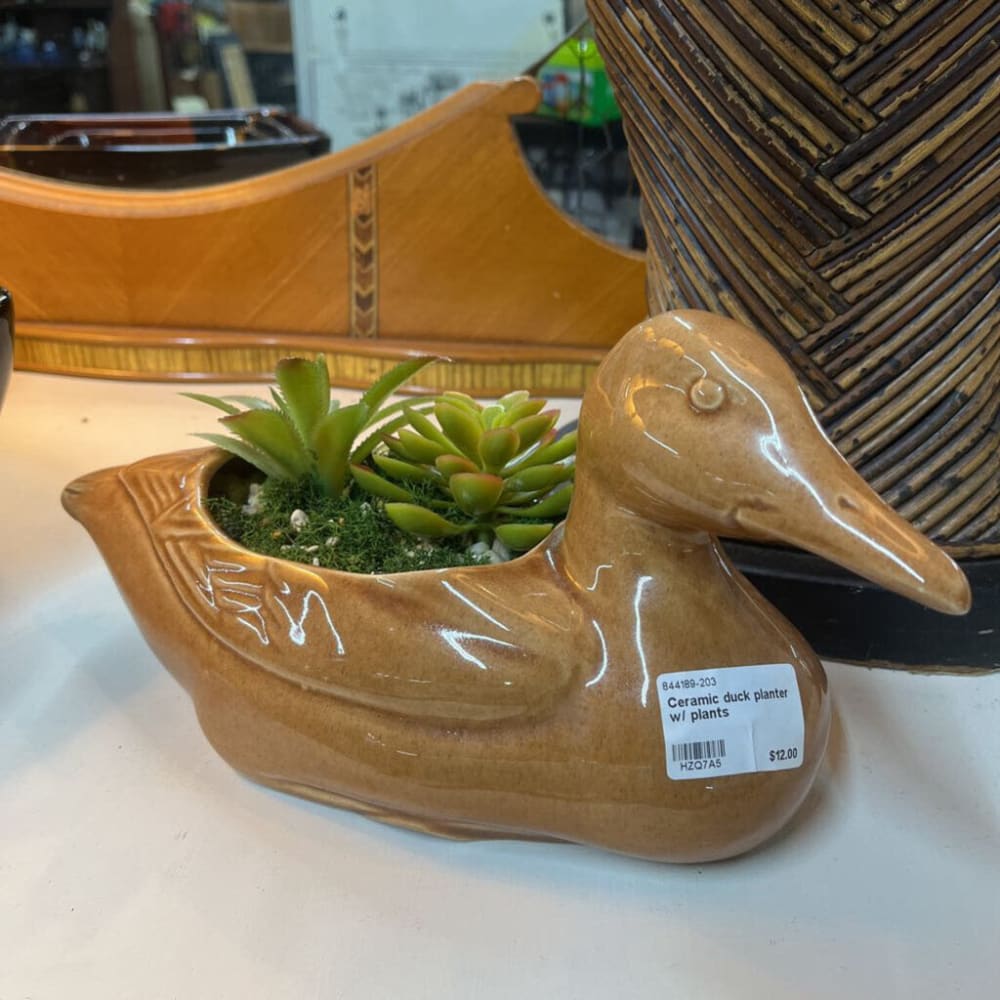 CERAMIC DUCK PLANTER W/ PLANTS