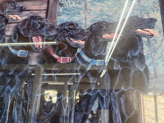 FRAMED S/N LABS PRINT "SIX PACK, SR."