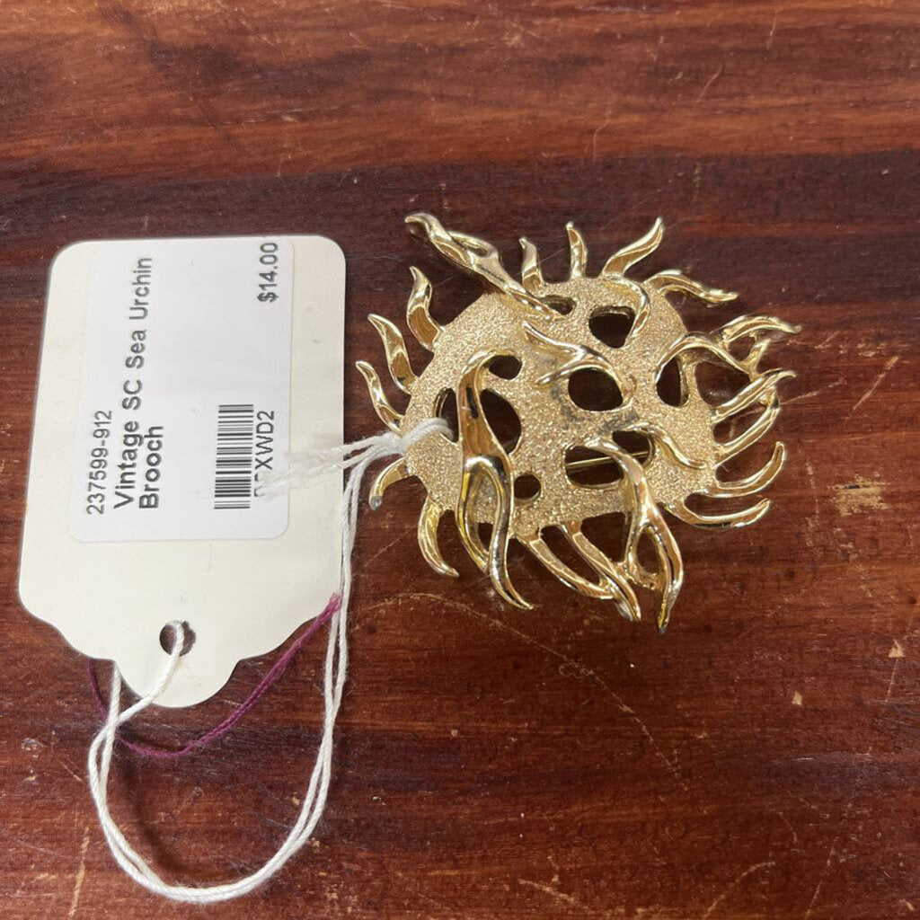 Vintage SC Sea Urchin Brooch