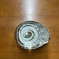 OLD WATERFORD CRYSTAL SHELL PAPERWEIGHT