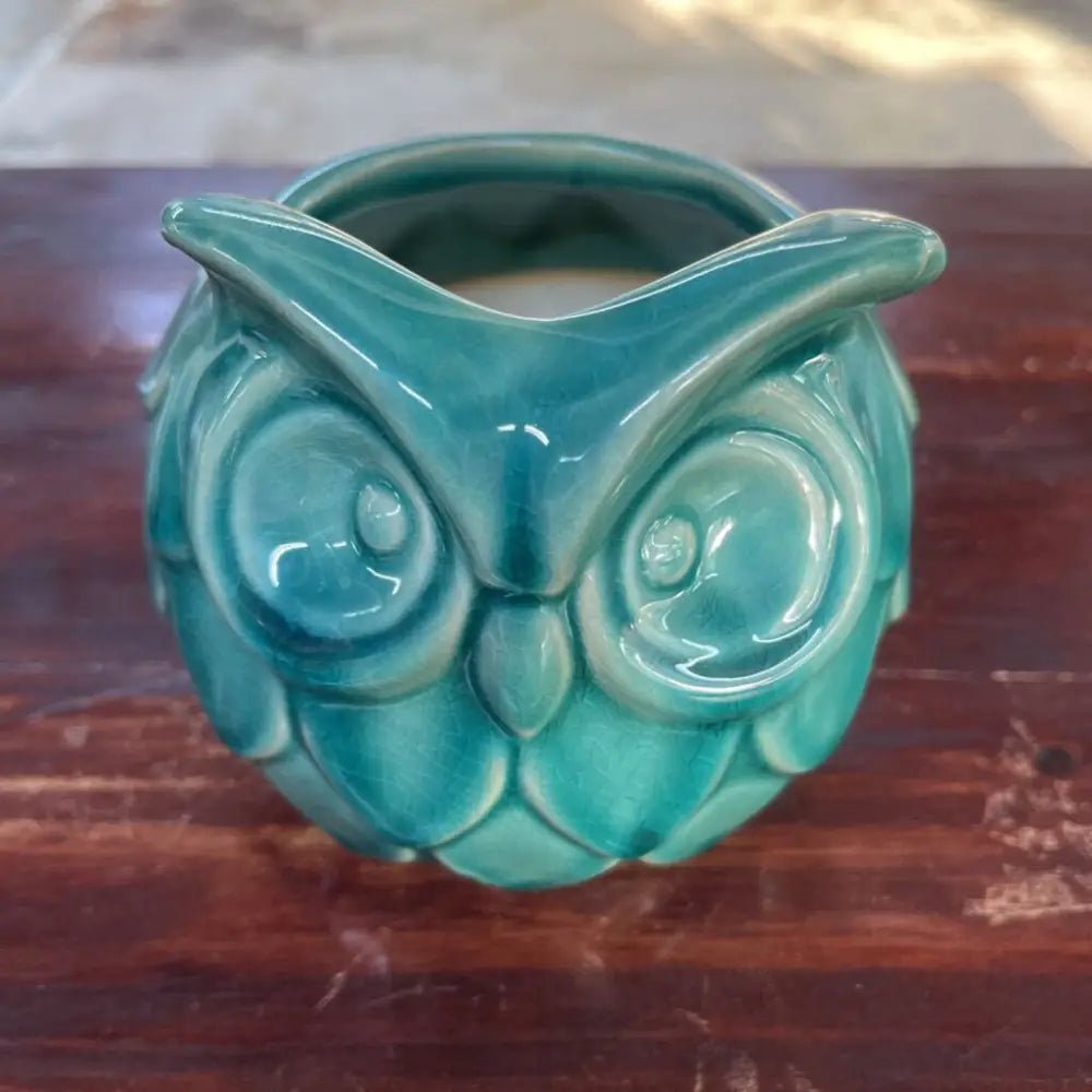 BLUE OWL PLANTER