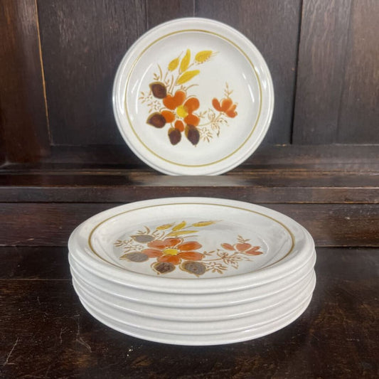 6PC MIKASA HARVEST DESSERT PLATES