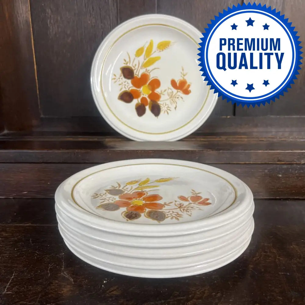 6PC MIKASA HARVEST DESSERT PLATES