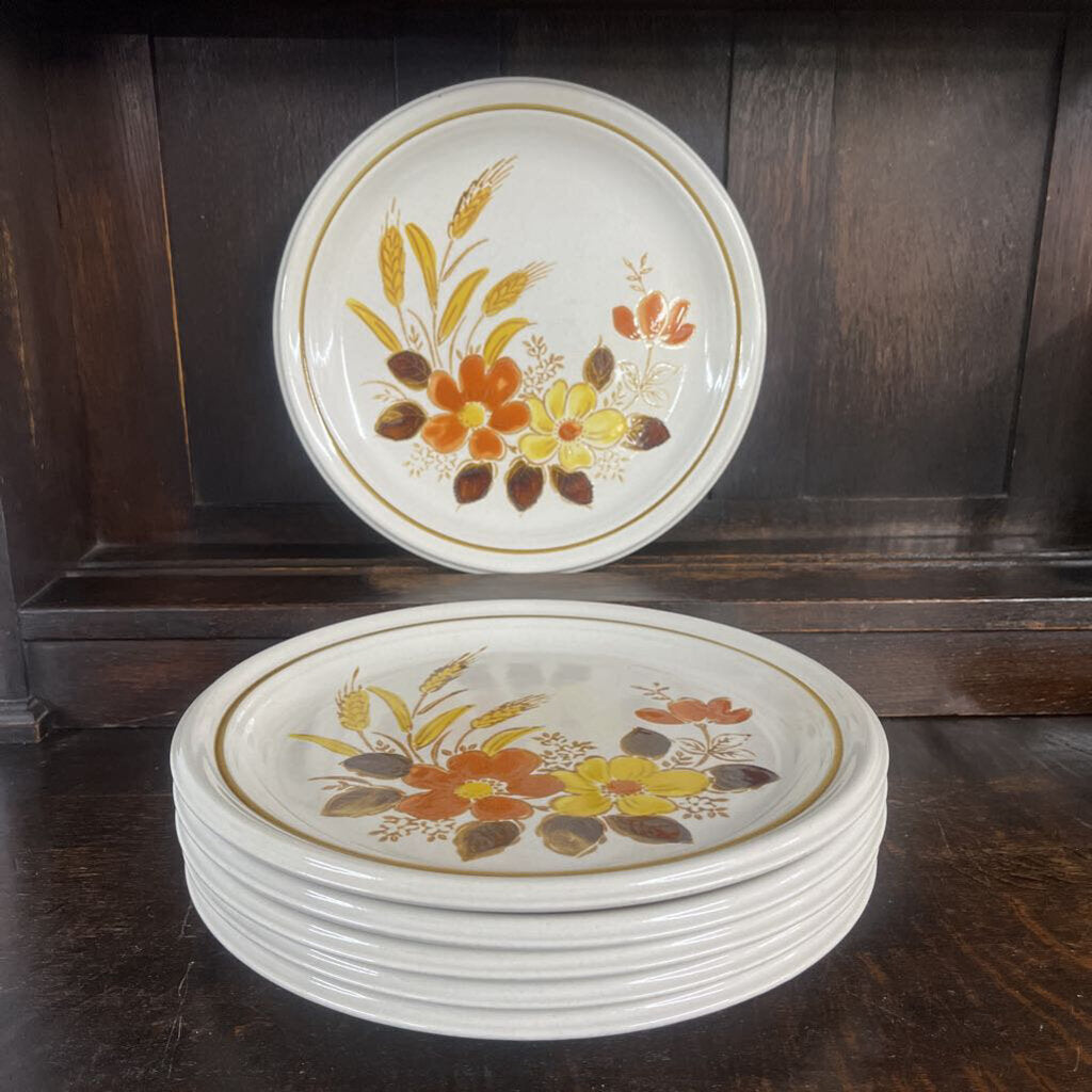 6PC MIKASA HARVEST DINNER PLATES