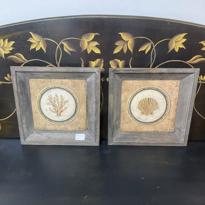 Regina Andrew frames with seashells -set