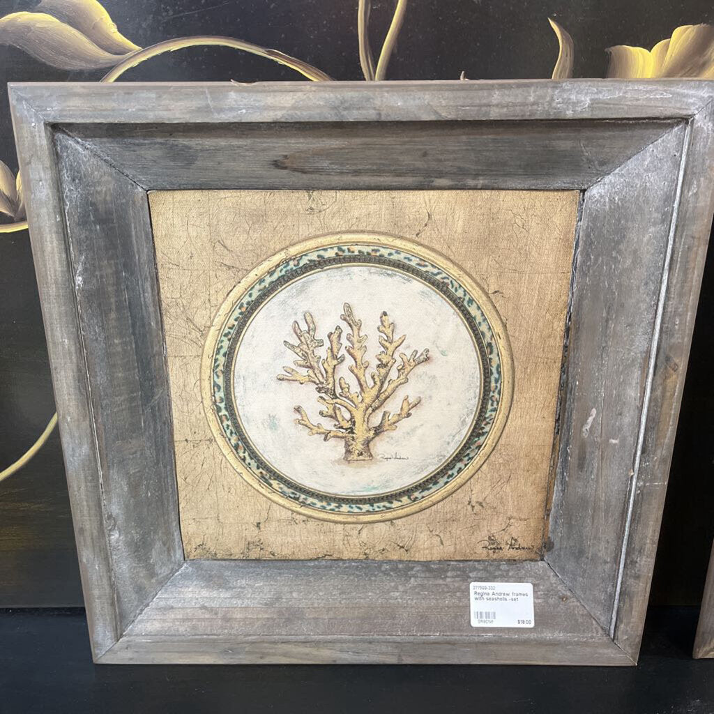 Regina Andrew frames with seashells -set