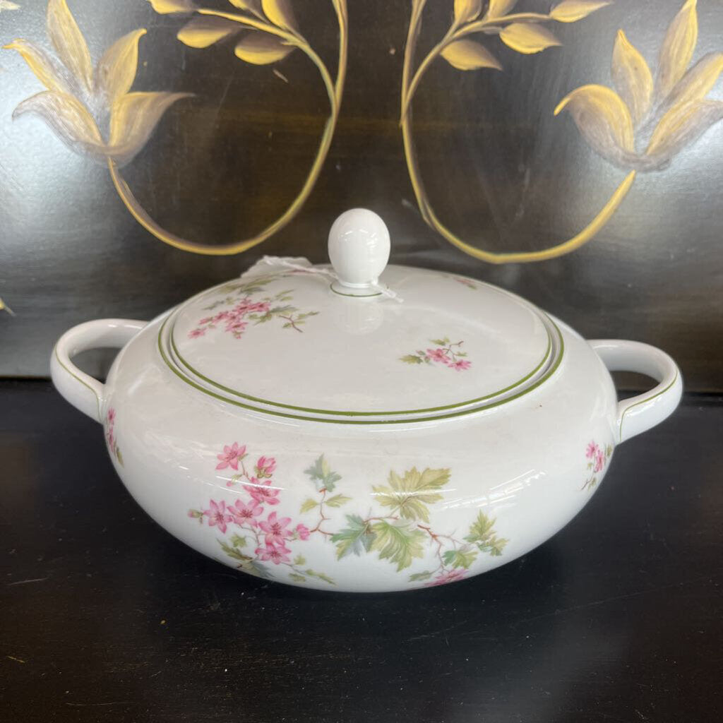 HUTSCHENREUTHER SELB BAVARIA GERMANY DINNER WARE SET 20PCS