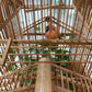 VINTAGE BAMBOO BIRD HOUSE