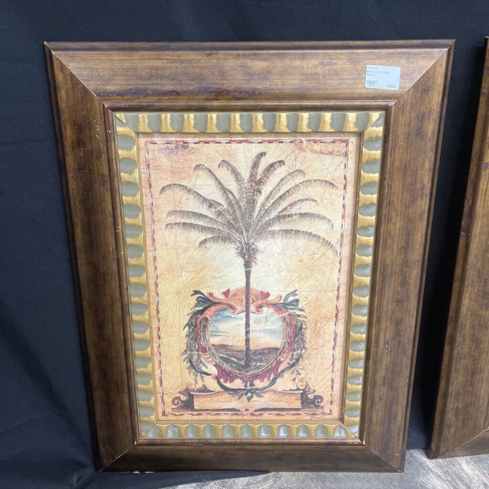 BROWN 2PC PALM PICTURE