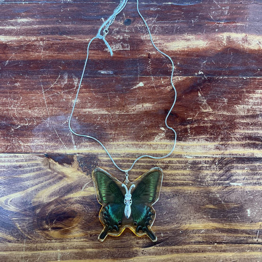 Vtg Large Acrylic Butterfly Pendant w/Sterling Silver Necklace