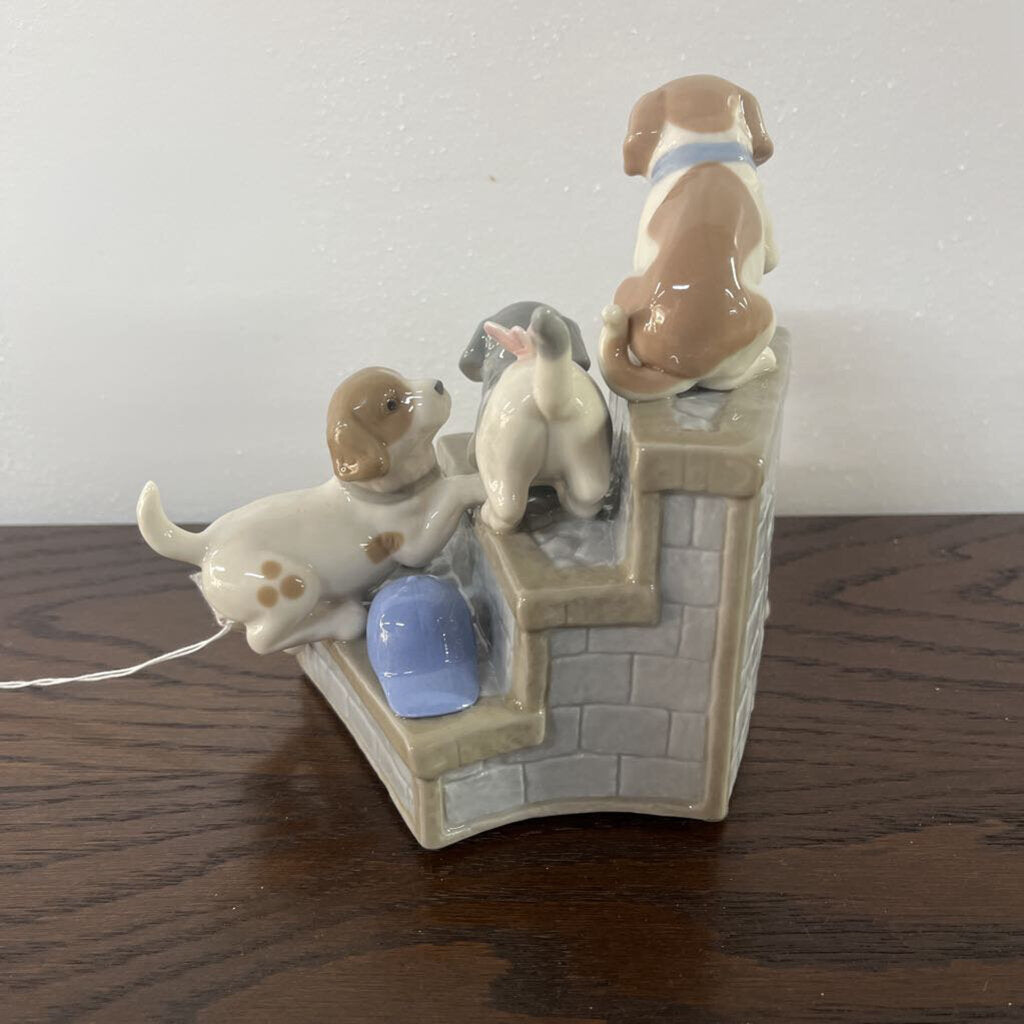 GARDEN STEPS PUPPIES