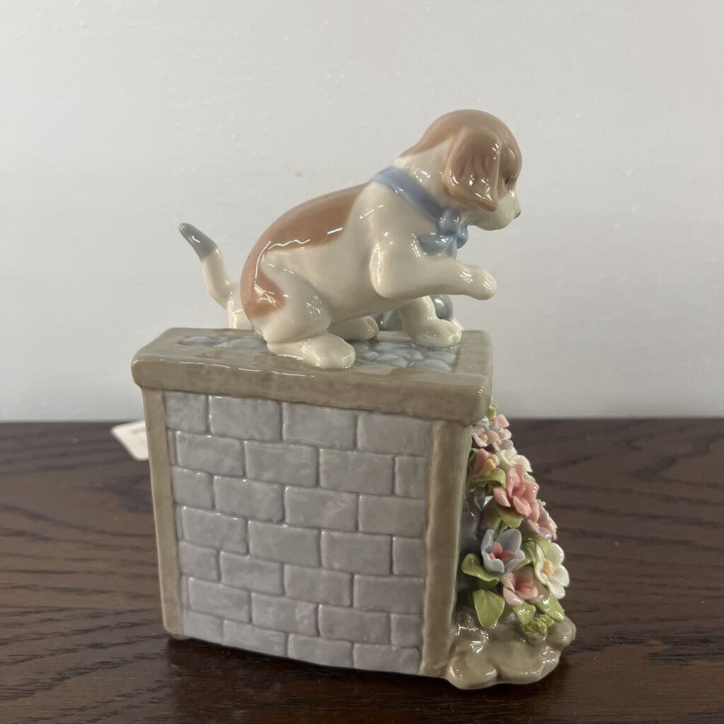 GARDEN STEPS PUPPIES