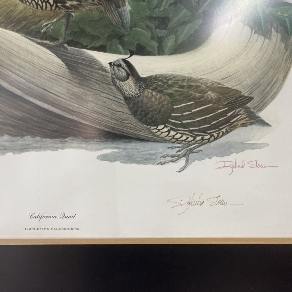 SIGNED Richard Sloan Ca Qual