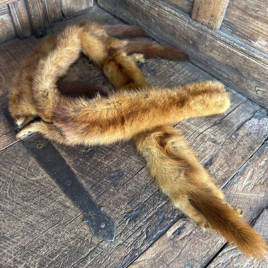 antique Fox fur trim