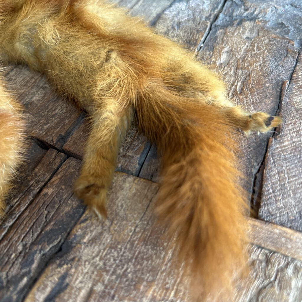 antique Fox fur trim