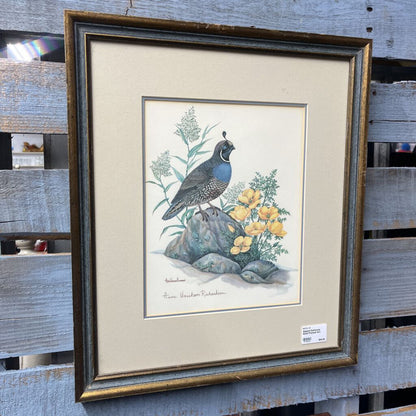 Signed California Quail Framed Art