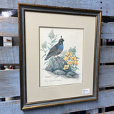 Signed California Quail Framed Art