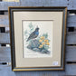 Signed California Quail Framed Art