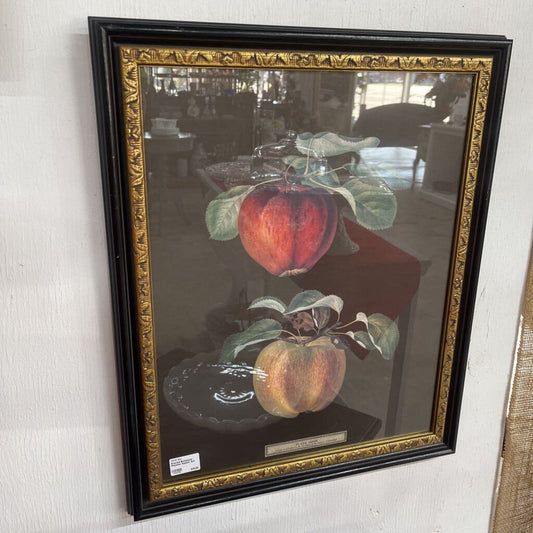Framed Botanical Phoenix Apples Art