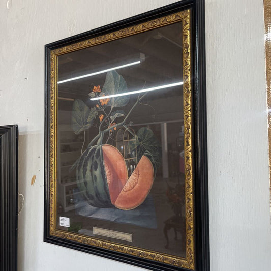 Framed Polinac Melon Art