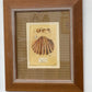 Set of 4 Shell Collection -nicely framed