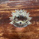 SWAROVSKI PORCUPINE / HEDGEHOG