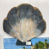 Wooden seashell hanging decor