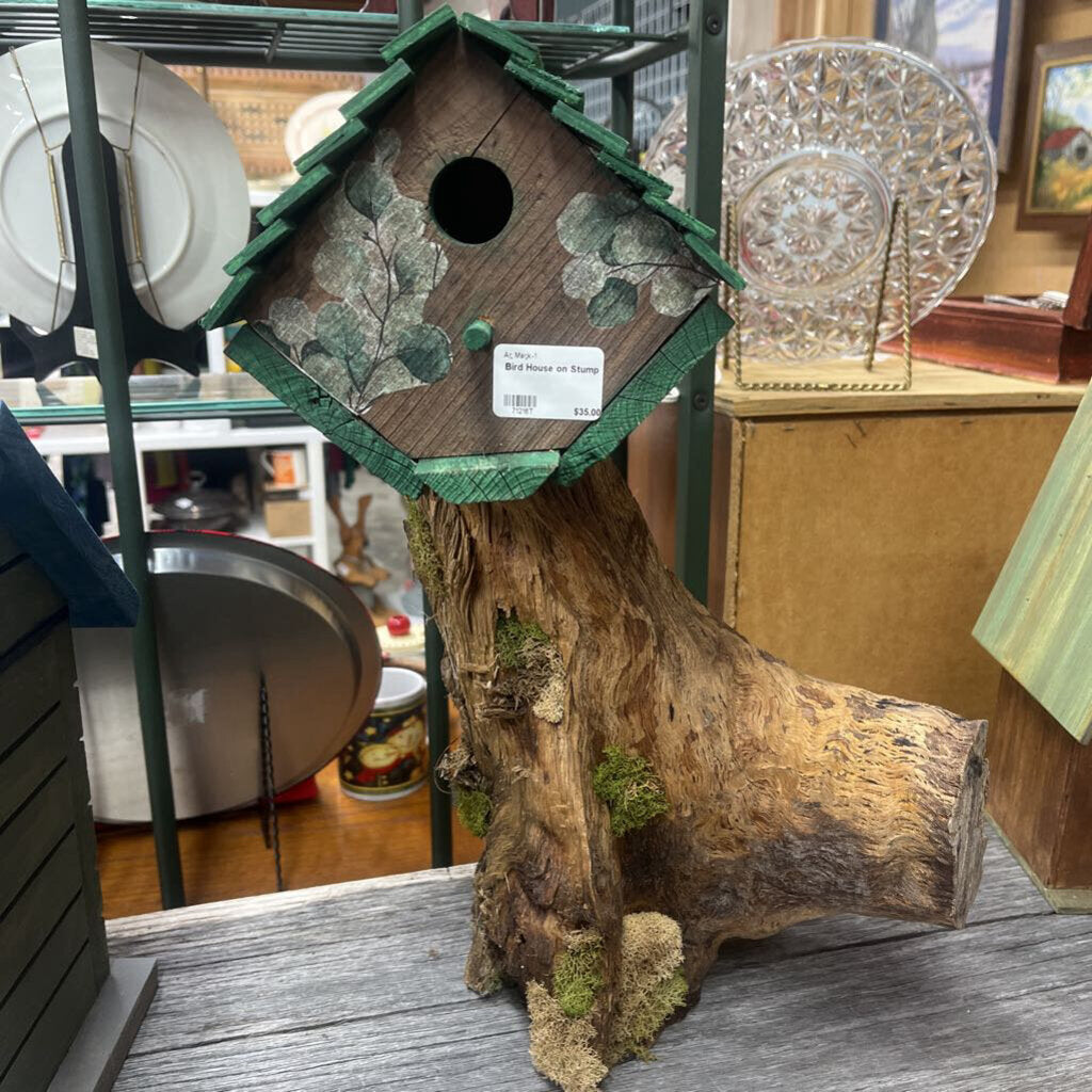 Bird House on Stump