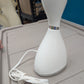 Nano Ionic Facial Steamer 300W 110-220 Voltage 65 ML Capacity White Silver