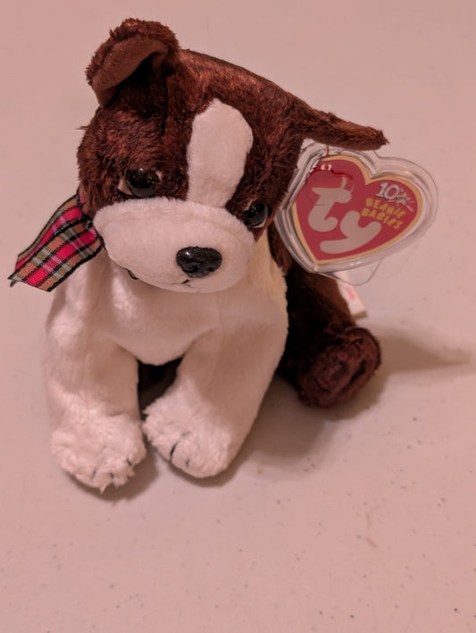 BOSTON THE DOG - TY BEANIE BABY (BROWN & WHITE, 2003, PLUSH TOY, STUFFED ANIMAL, MWMT, VINTAGE, RETIRED)