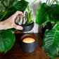 THE HIDDEN CANDLE