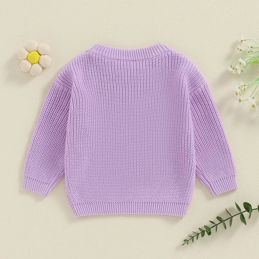 TODDLER KIDS GIRL BIG SISTER SWEATER CUTE LONG SLEEVE LETTER EMBROIDERY KNIT PULLOVER LOOSE TOP