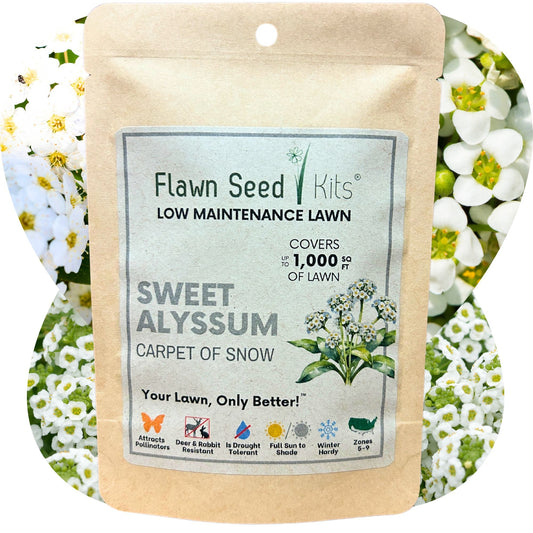 SWEET ALYSSUM CARPET OF SNOW SEED POUCH