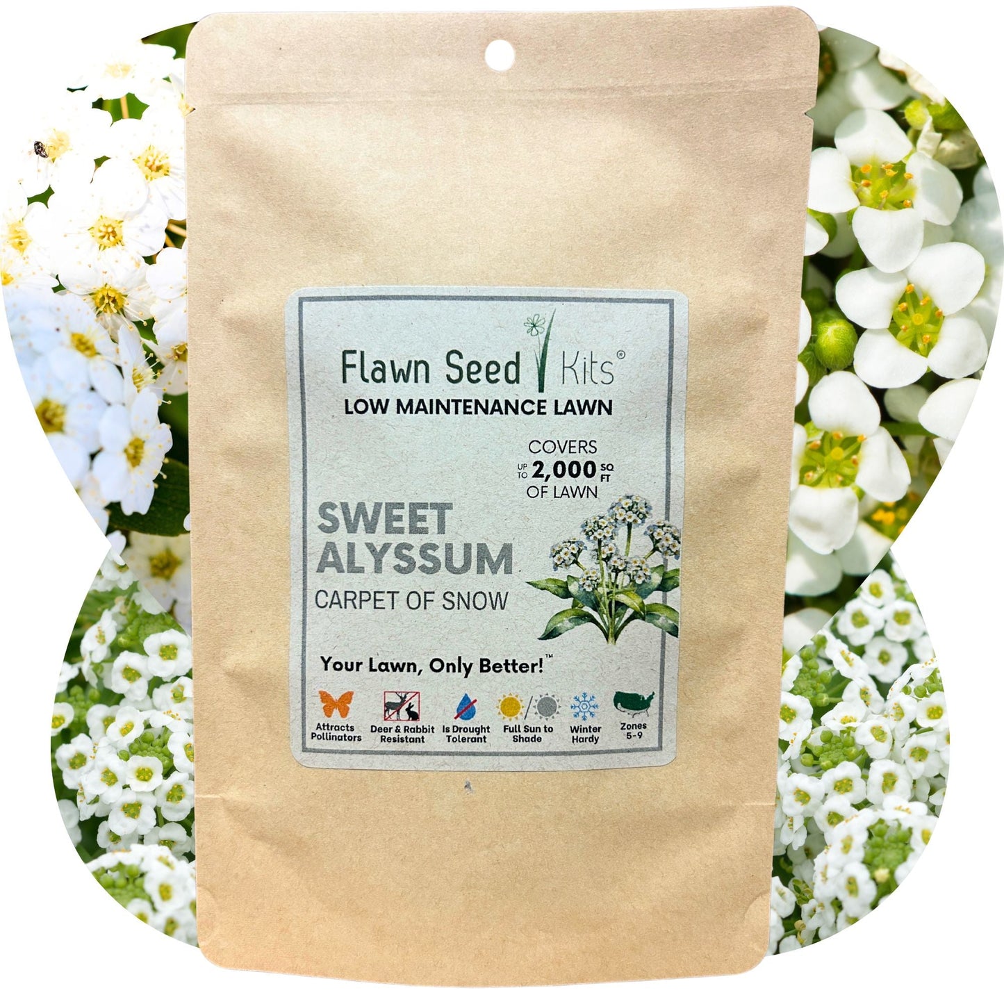SWEET ALYSSUM CARPET OF SNOW SEED POUCH