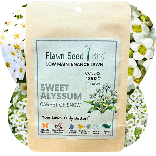 SWEET ALYSSUM CARPET OF SNOW SEED POUCH
