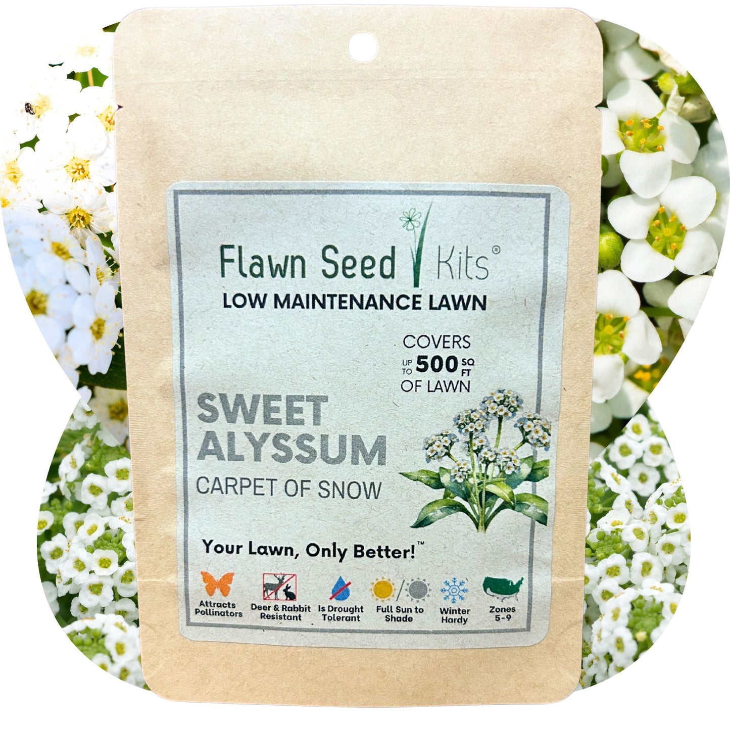 SWEET ALYSSUM CARPET OF SNOW SEED POUCH