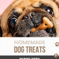 10 Homemade Dog Treat Recipes – Ready in Under 10 Minutes (PDF Download)