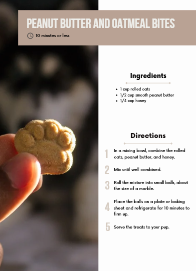 10 Homemade Dog Treat Recipes – Ready in Under 10 Minutes (PDF Download)