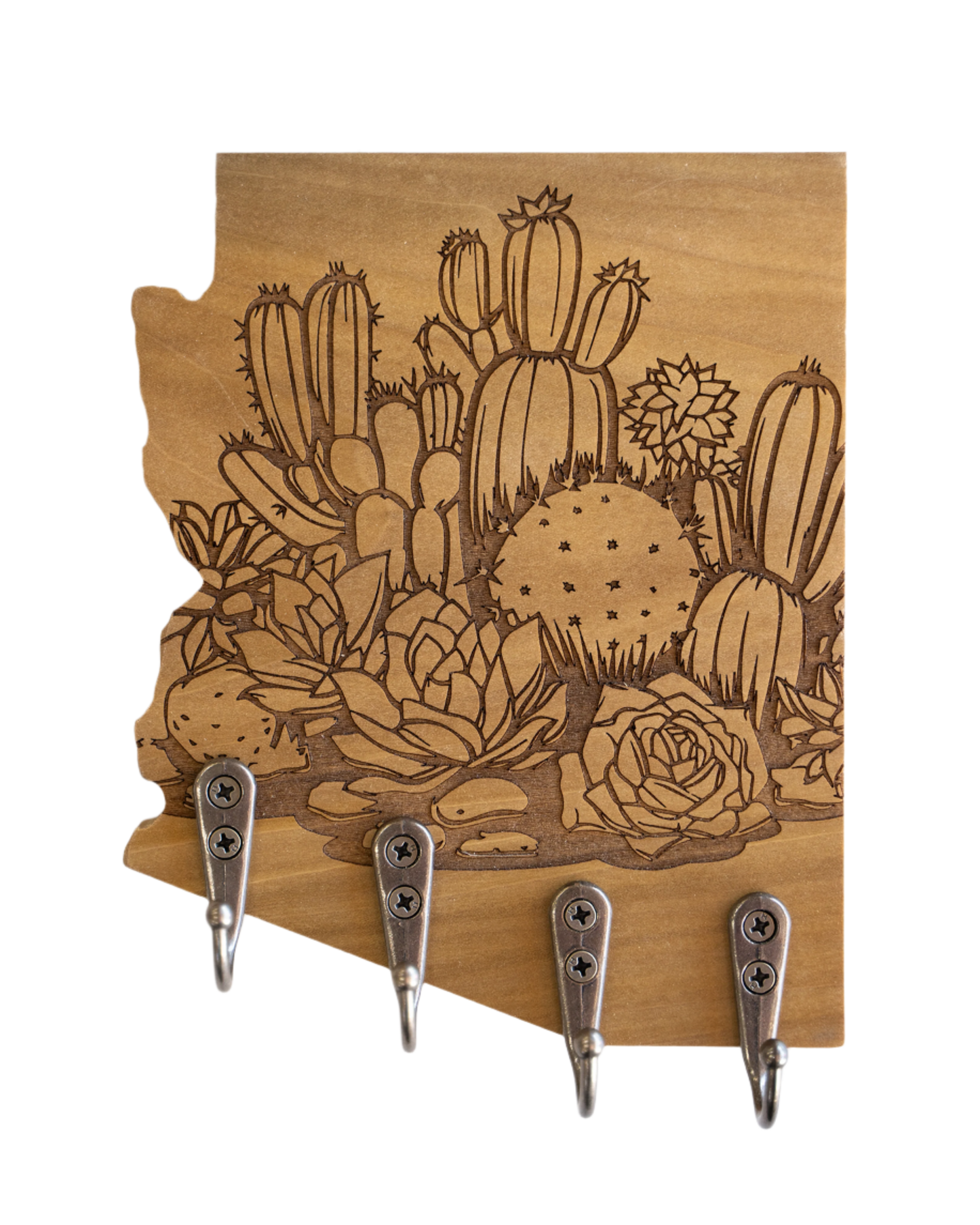 SUCCULENT BUNDLE 05 ARIZONA WALL HANGER