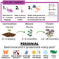 SWEET ALYSSUM ROYAL CARPET SEED POUCH