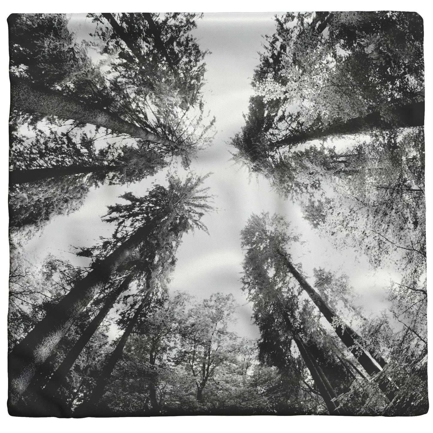 TALL TREES THROW PILLOW