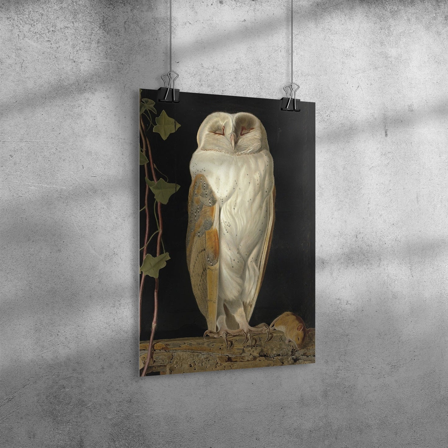 THE WHITE OWL BY WILLIAM JAMES WEBBE MATTE POSTER