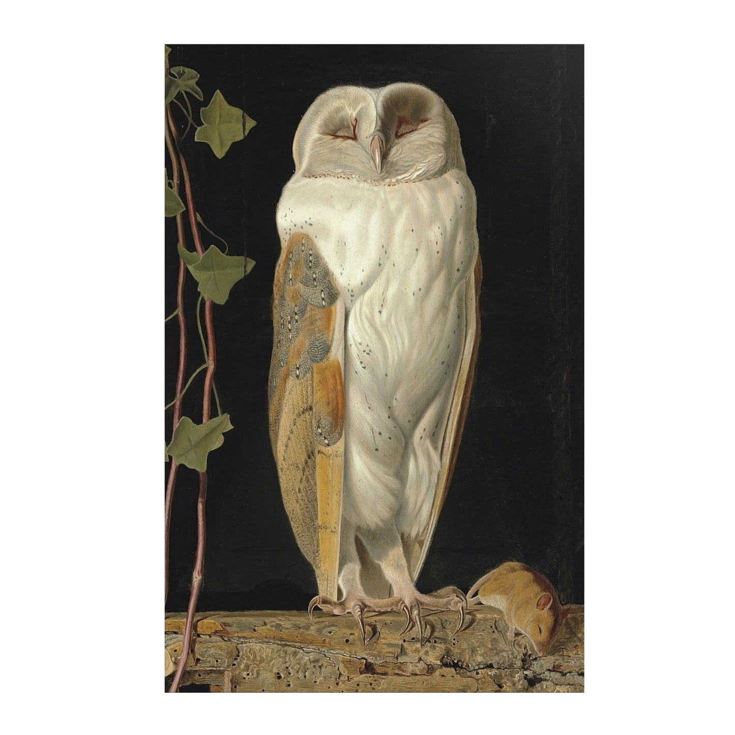 THE WHITE OWL BY WILLIAM JAMES WEBBE MATTE POSTER