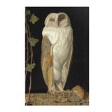 THE WHITE OWL BY WILLIAM JAMES WEBBE MATTE POSTER