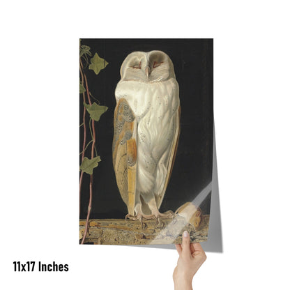 THE WHITE OWL BY WILLIAM JAMES WEBBE MATTE POSTER