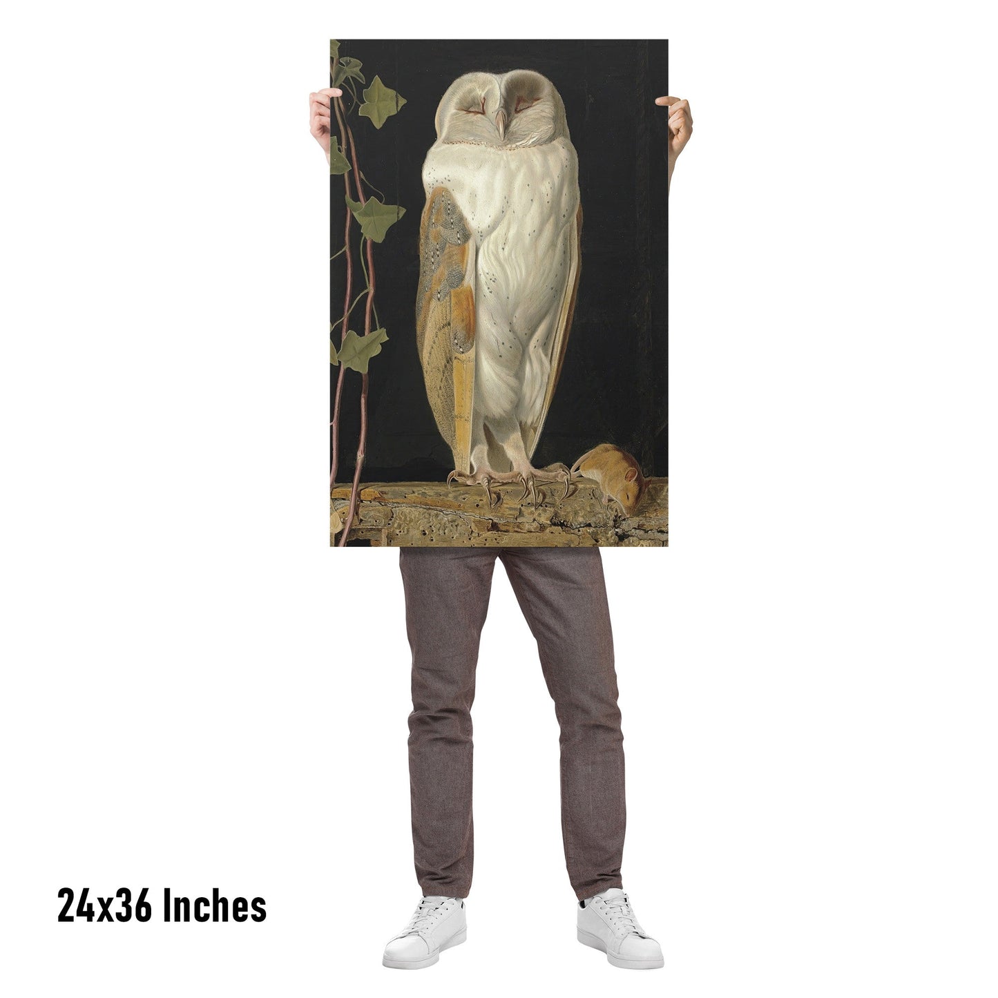 THE WHITE OWL BY WILLIAM JAMES WEBBE MATTE POSTER