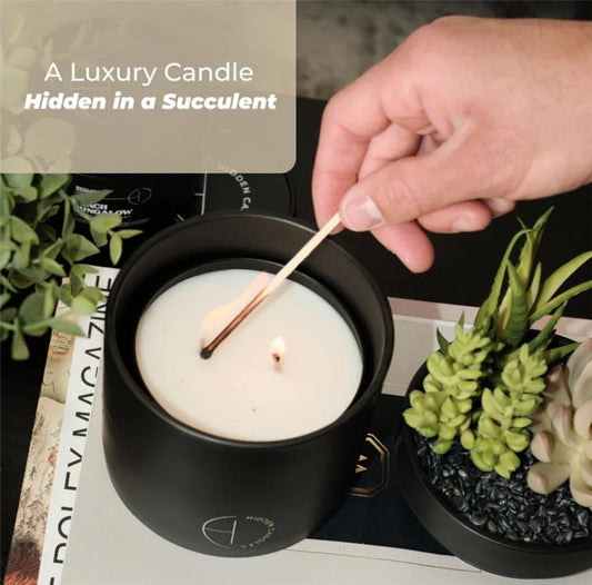 THE HIDDEN CANDLE
